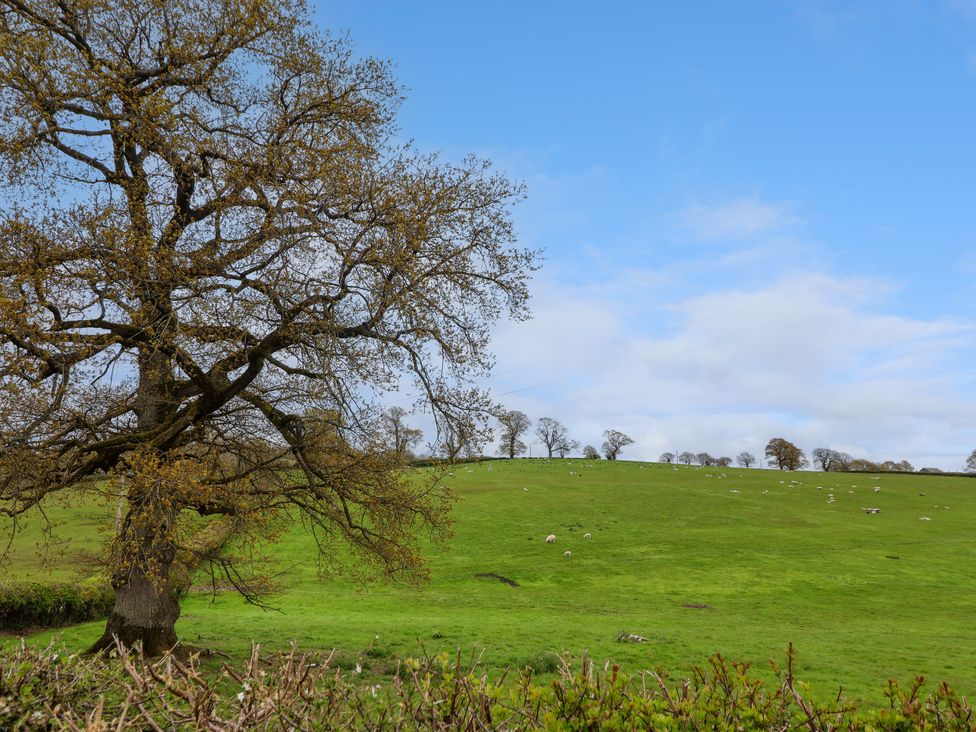 Aelybryn - Shropshire - 1015186 - thumbnail photo 32