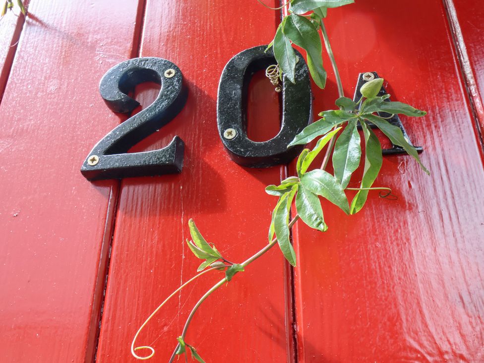 Number 20A with a green plant on a red door at 20A St Hilda's in Whitby