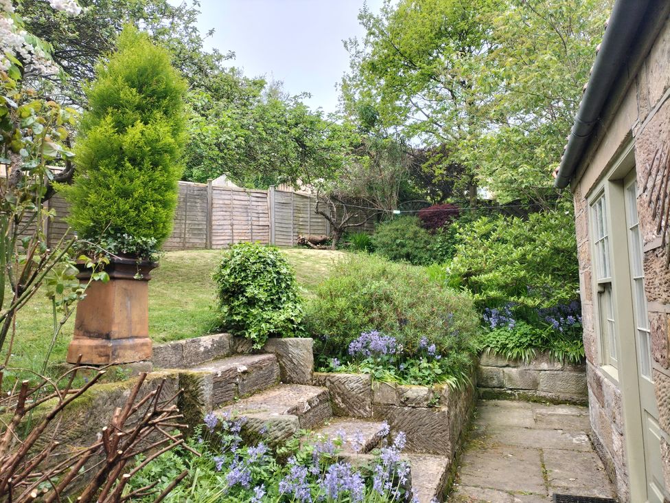 A garden with steps, hedges, and an access path at Damson Cottage in Whitby