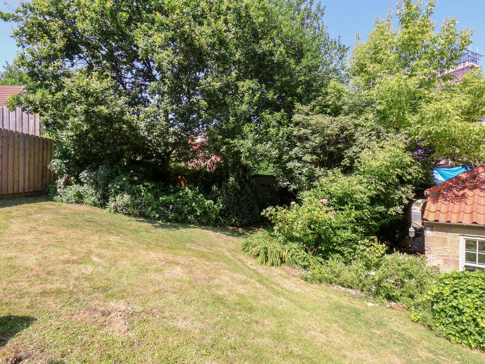 Damson Cottage - North Yorkshire (incl. Whitby) - 1015659 - thumbnail photo 36