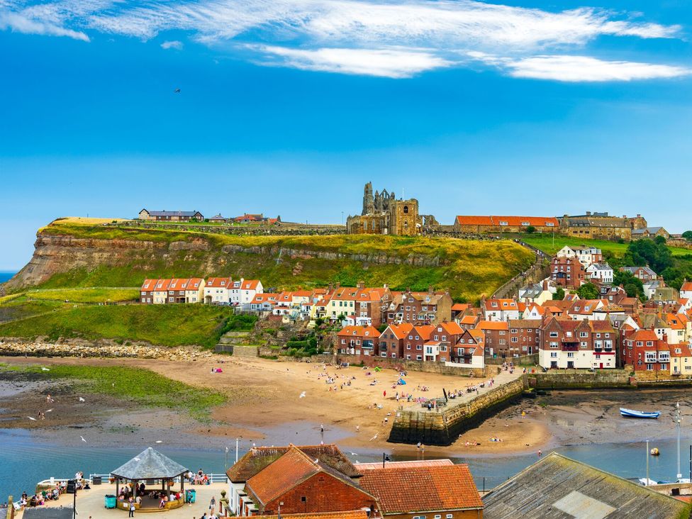 Fossil Cottage - North Yorkshire (incl. Whitby) - 1015799 - thumbnail photo 14