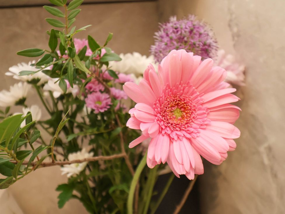 A close up of a pink gerbera flower with white and purple flowers and green leaves in the background