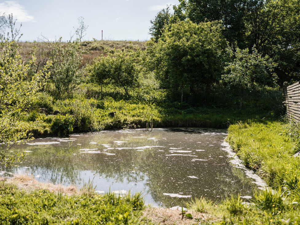A pond surrounded by grass and trees at The Chard in Longtown