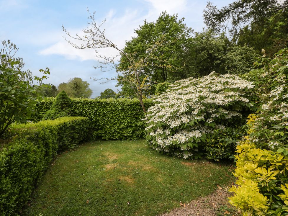 Woodlands Cottage - Herefordshire - 1017646 - thumbnail photo 27