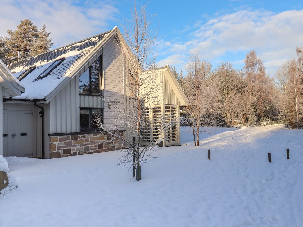 A house covered in snow with trees and a pathway at Otter Lodge in Feshiebridge near Aviemore