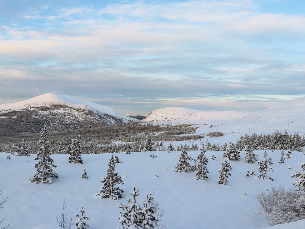 Otter Lodge - Scottish Highlands - 1018174 - thumbnail photo 34