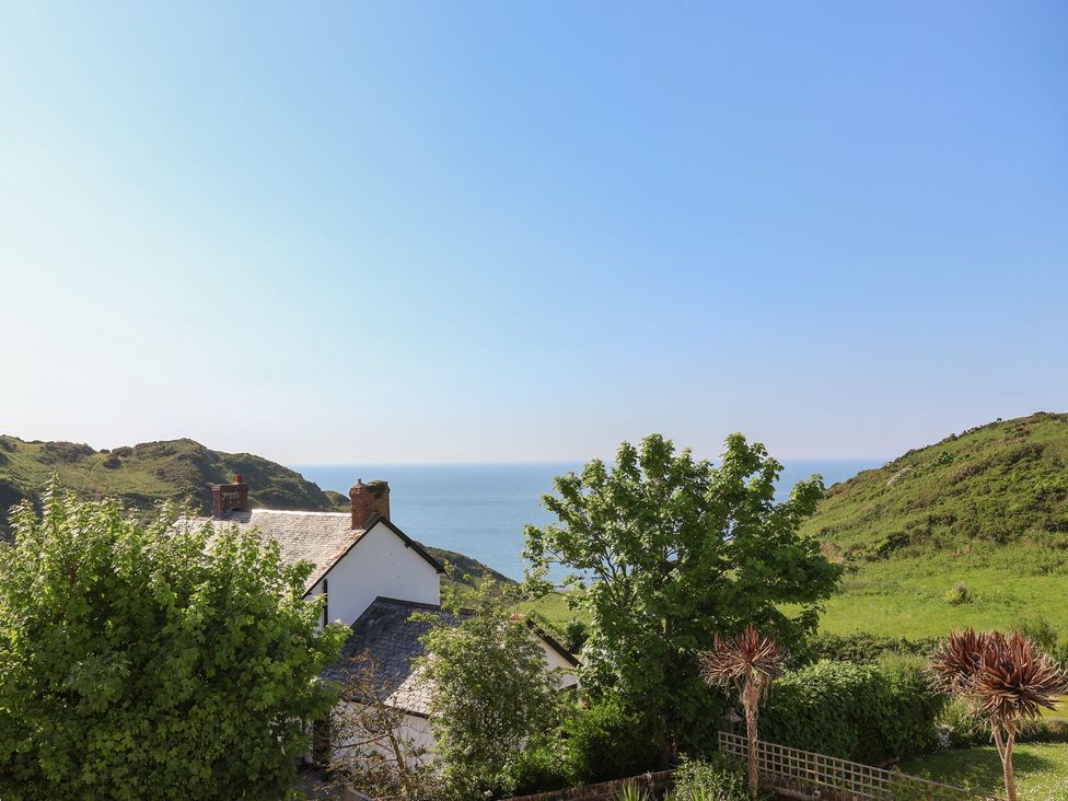 Rosebank Cottage - Devon - 1018763 - thumbnail photo 18