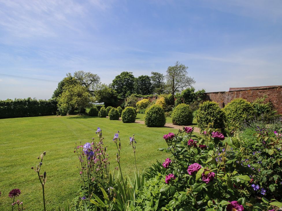 A garden with grass and various plants at Hilltop House in Tenbury Wells