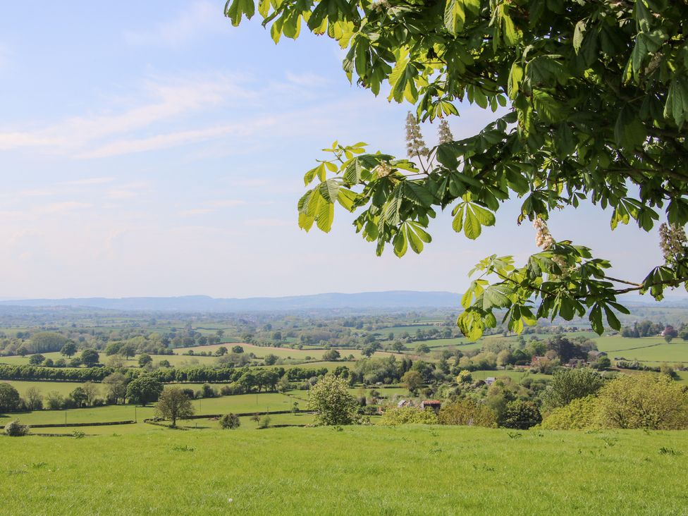 The Chestnuts - Cotswolds - 1018773 - thumbnail photo 38