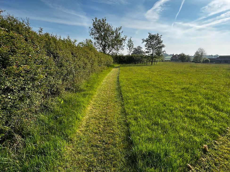A path bordered by hedges and trees in a field at Keepers Cottage in West Knoyle
