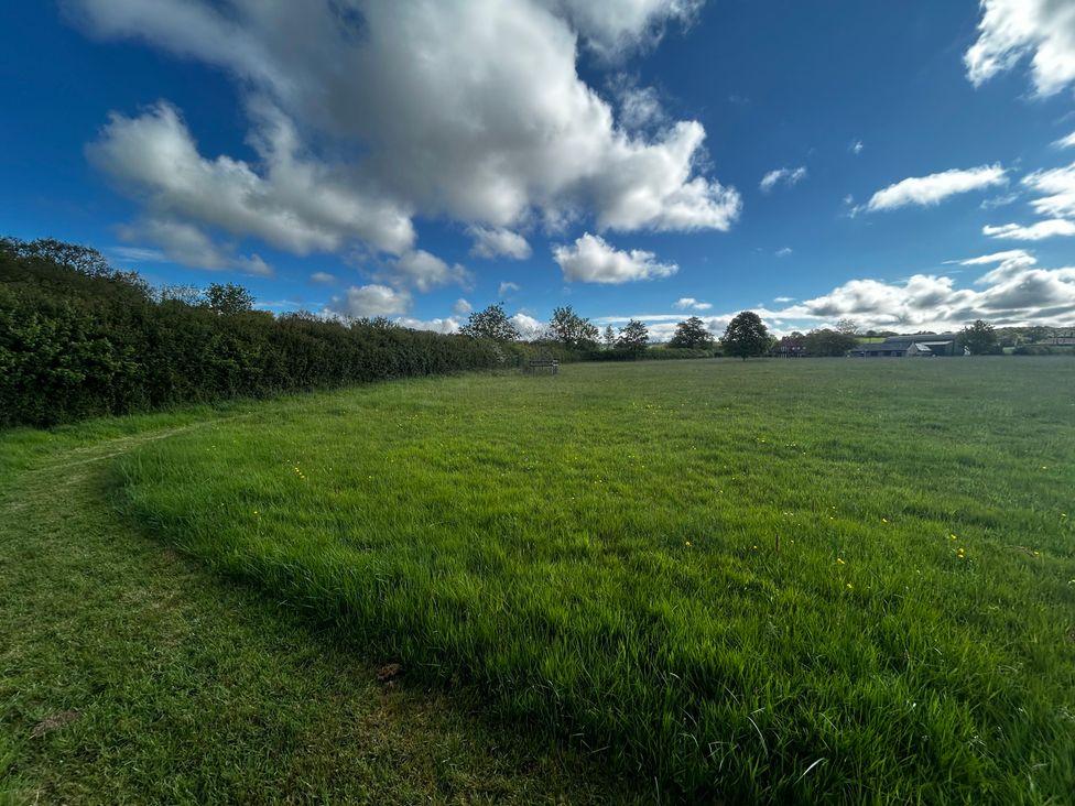 A grassy field with trees and a blue sky at Keepers Cottage in West Knoyle
