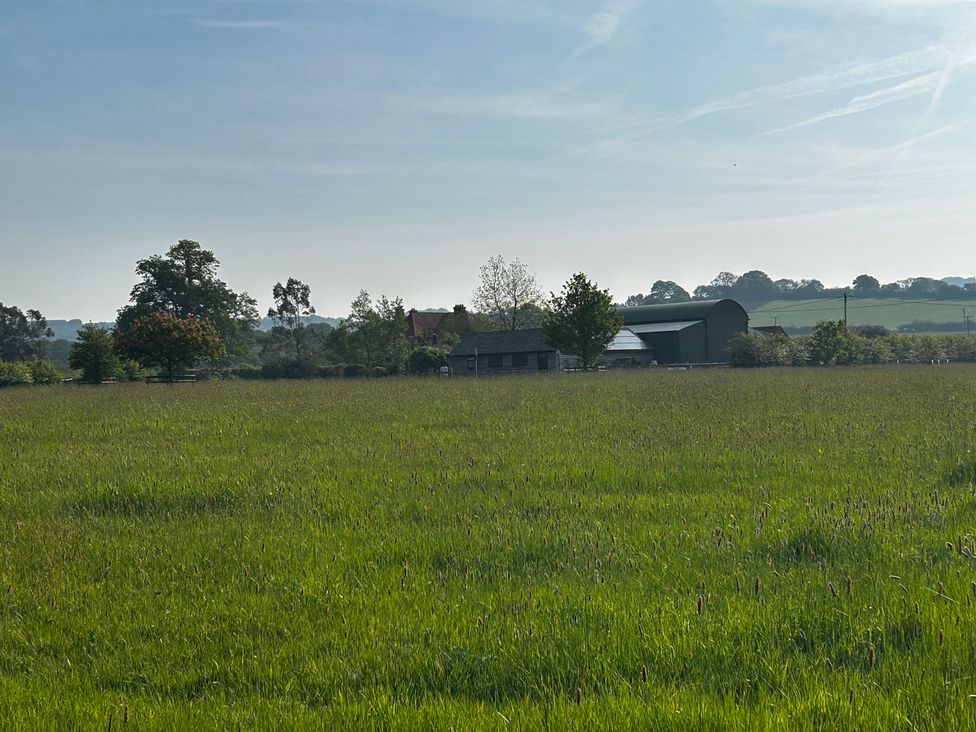 A field with trees and buildings at Keepers Cottage in West Knoyle