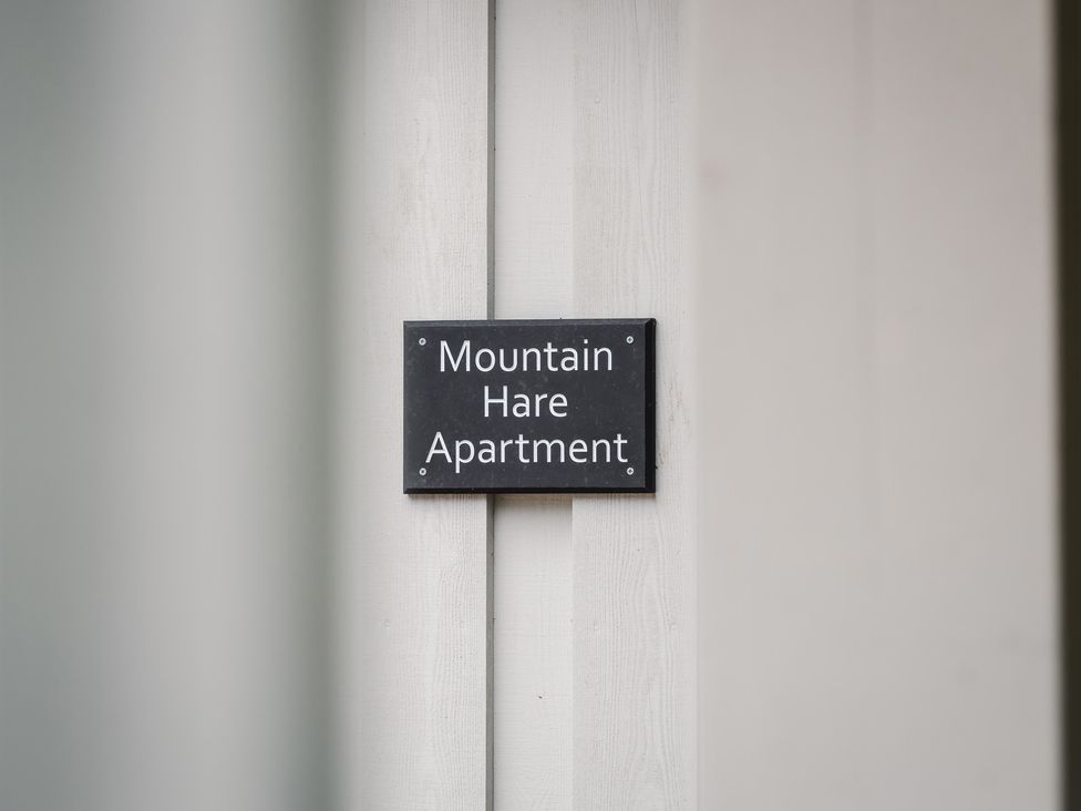 Mountain Hare Apartment - Scottish Highlands - 1019354 - thumbnail photo 4