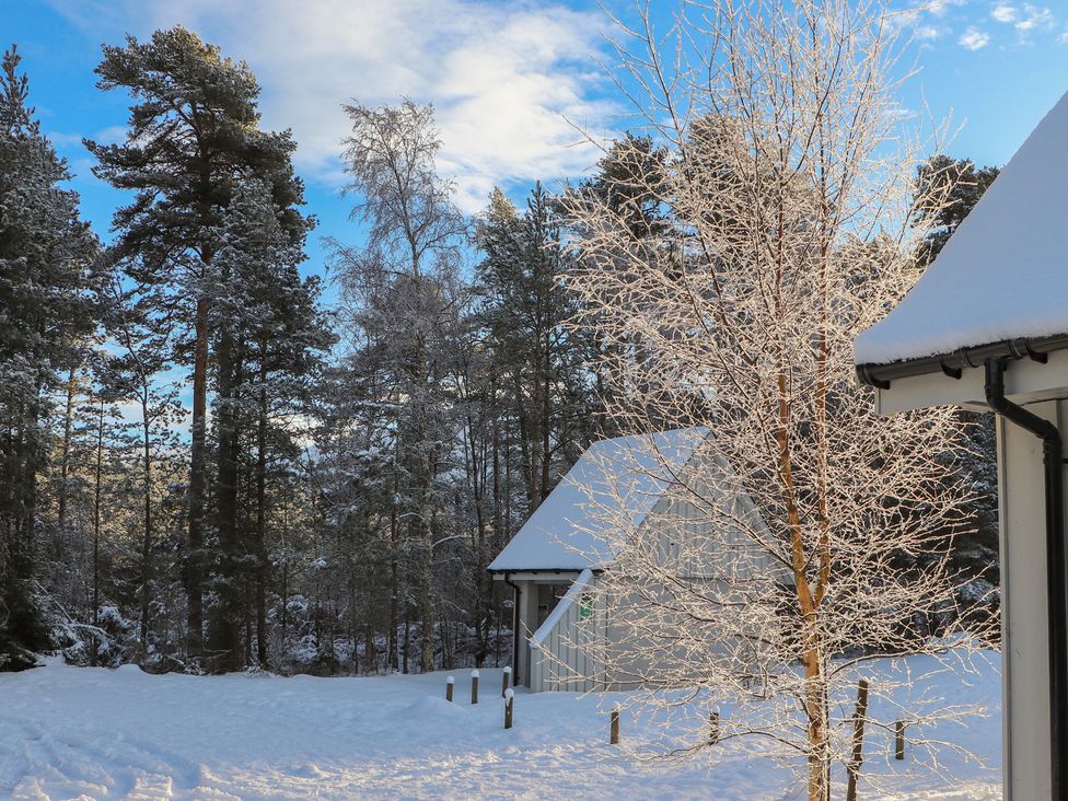 A snowy landscape with trees and a building at Mountain Hare Apartment in Aviemore