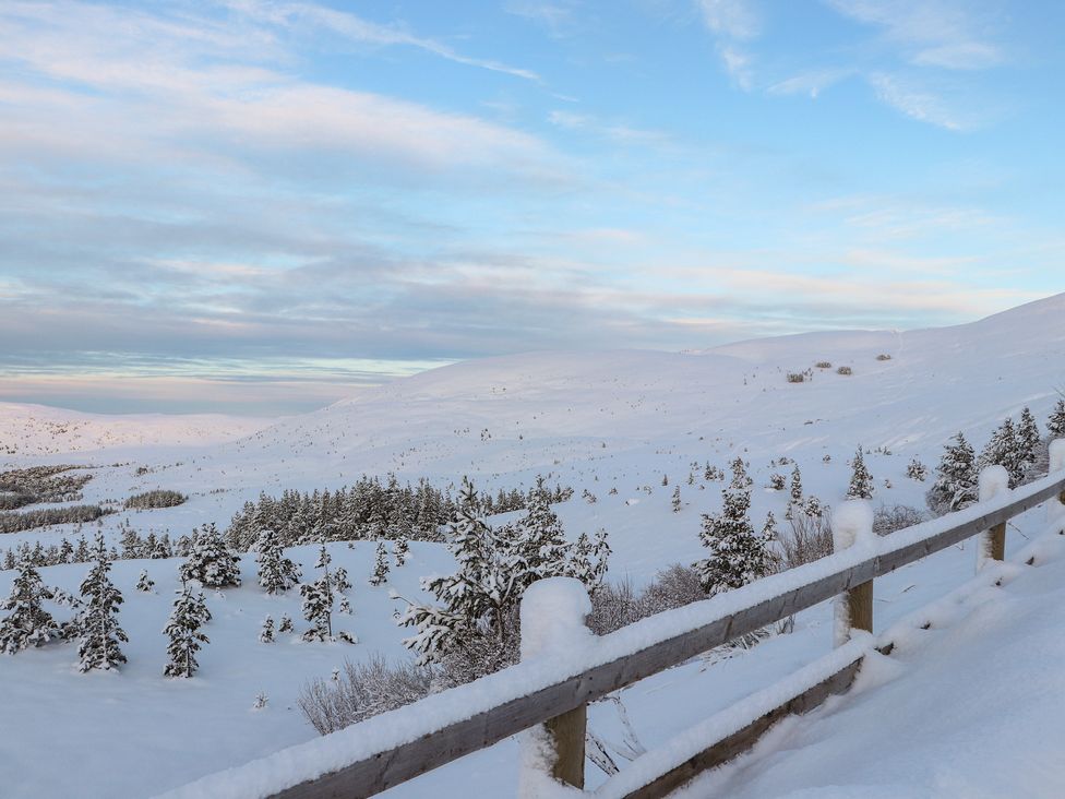 A snowy landscape with trees and a fence at Mountain Hare Apartment in Aviemore