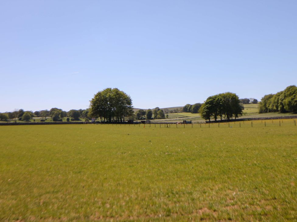 A field with trees and a fence at The Shavings in Cowdale near Buxton