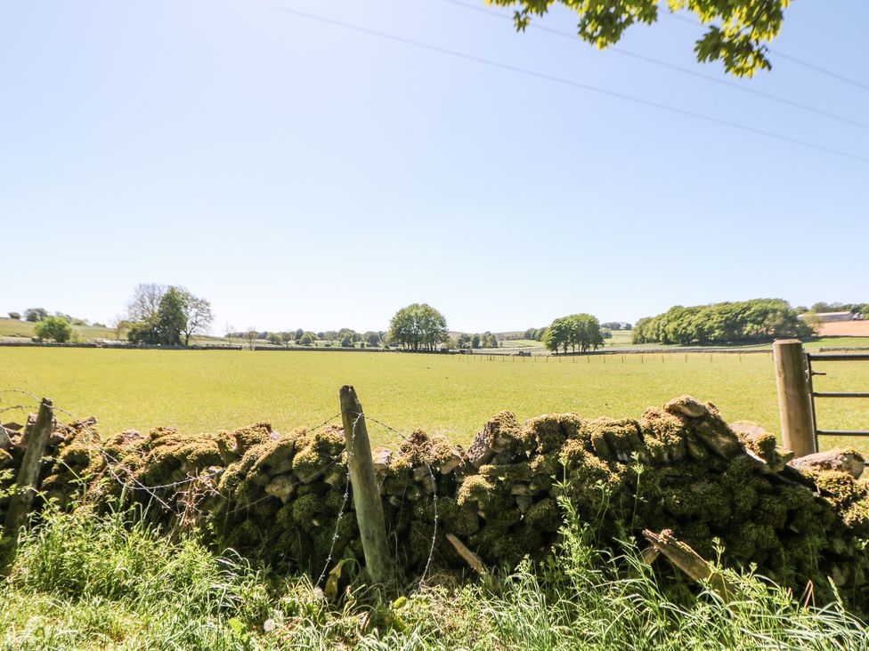 A field with grass and trees behind a stone wall covered with moss at Woodlands in Cowdale near Buxton