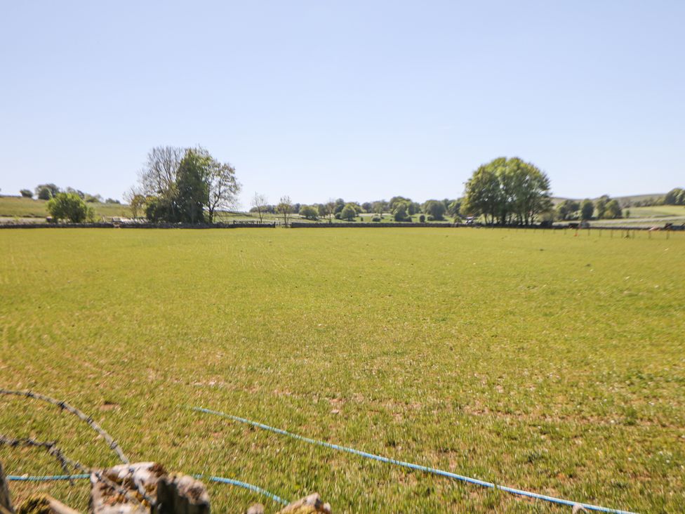 A grassy field with trees and stone fences in the background at Woodlands in Cowdale near Buxton