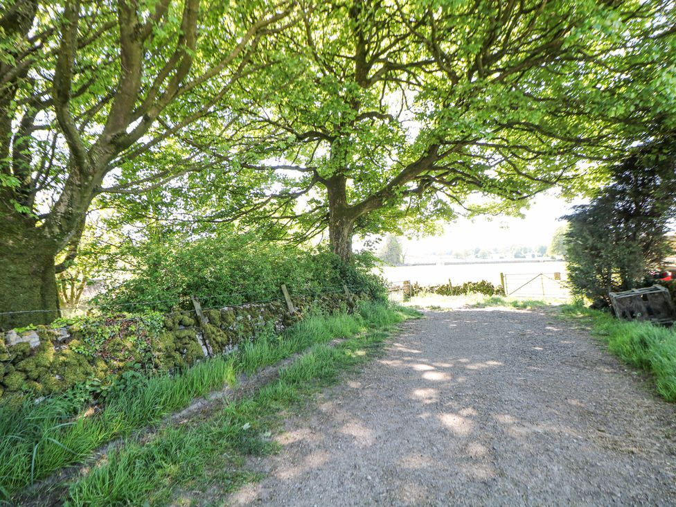 A gravel pathway with trees and a stone wall at Woodlands in Cowdale near Buxton