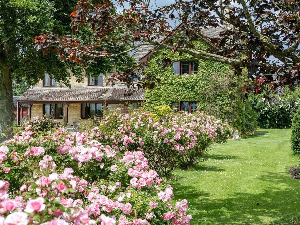 A garden with roses and a house at Willow Barn in Cucklington near Wincanton