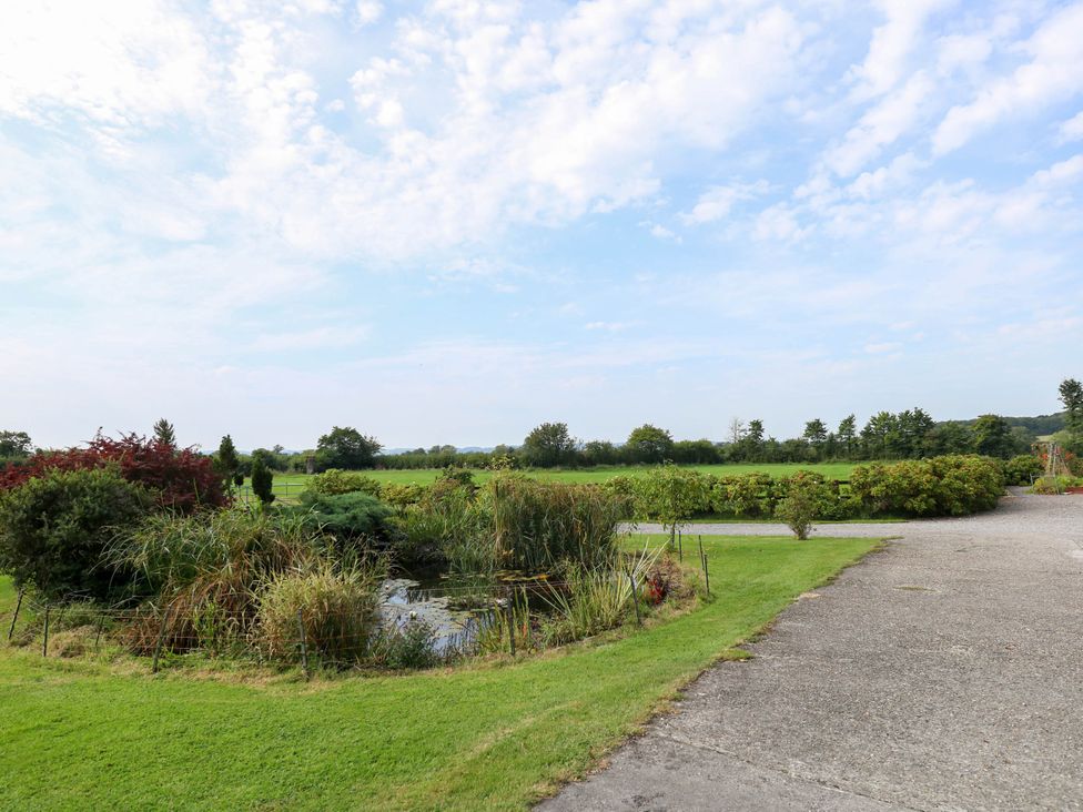 A garden with a pond and greenery at Little Barn in Cucklington near Wincanton