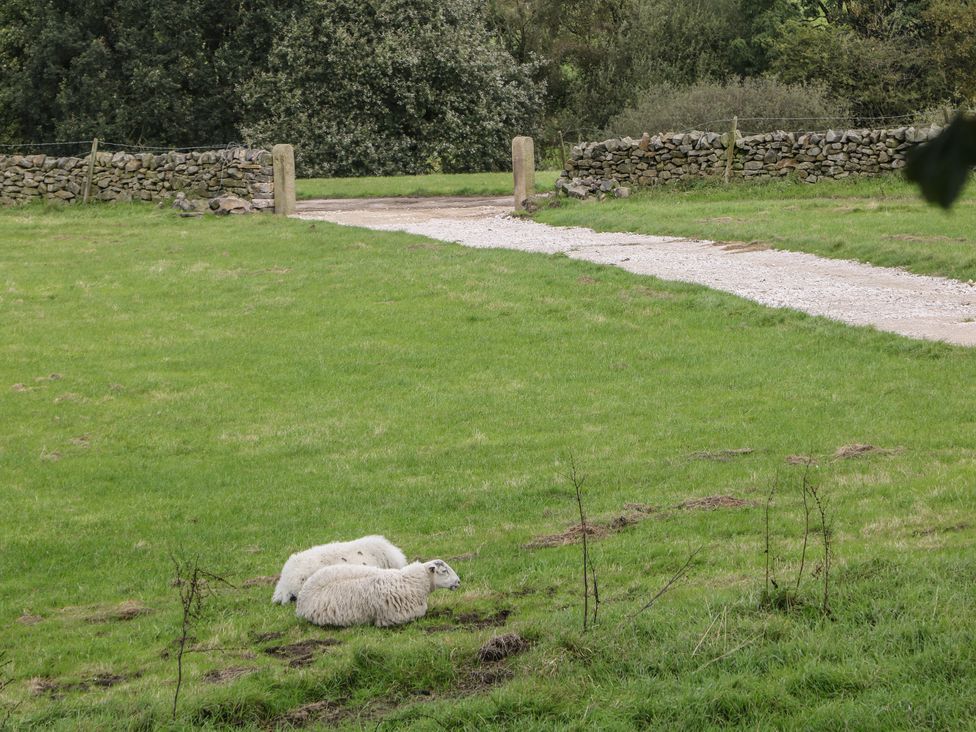 Stoney Cliffe Farm - Peak District & Derbyshire - 1021995 - thumbnail photo 34