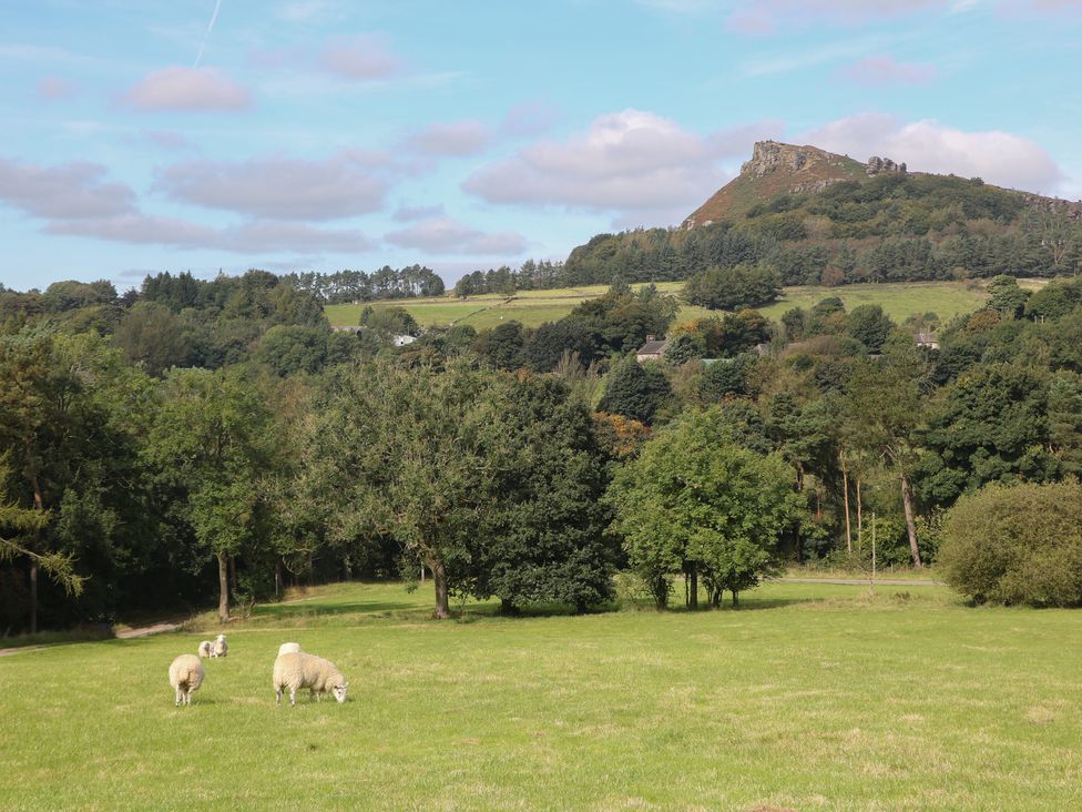 Stoney Cliffe Farm - Peak District & Derbyshire - 1021995 - thumbnail photo 40