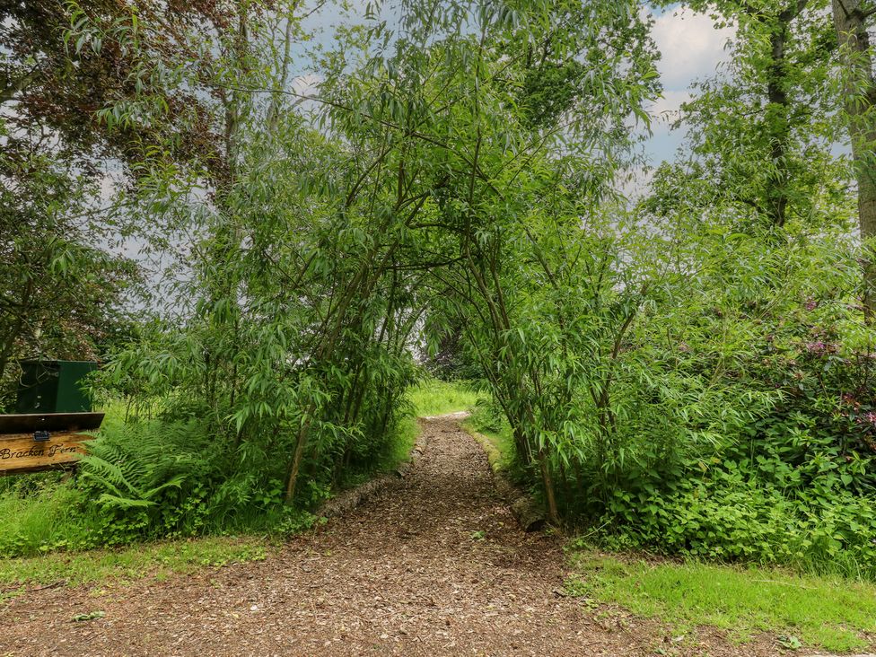 A pathway lined by trees at Bracken Fern in Eppleby