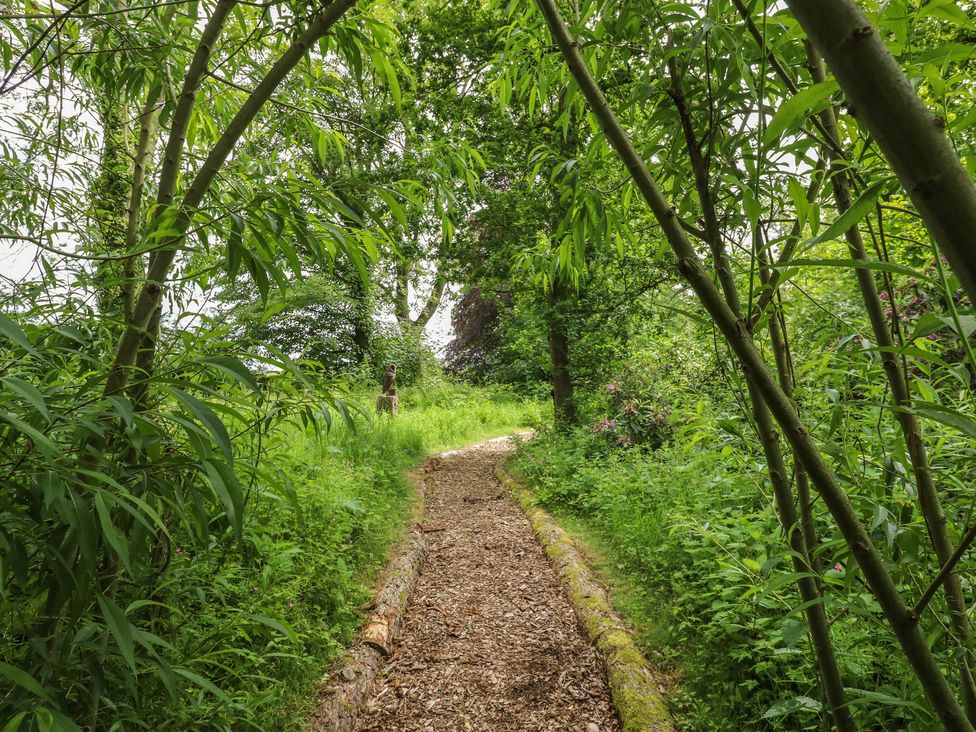 A pathway lined with trees and bushes at Bracken Fern in Eppleby
