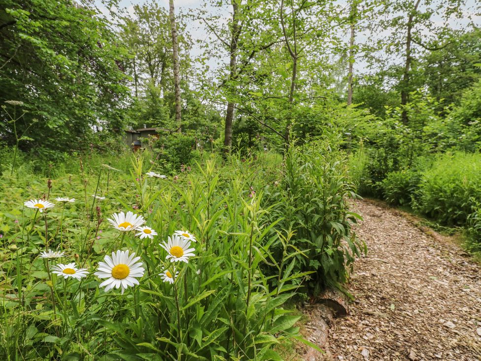 A path surrounded by flowers and trees at Bracken Fern in Eppleby