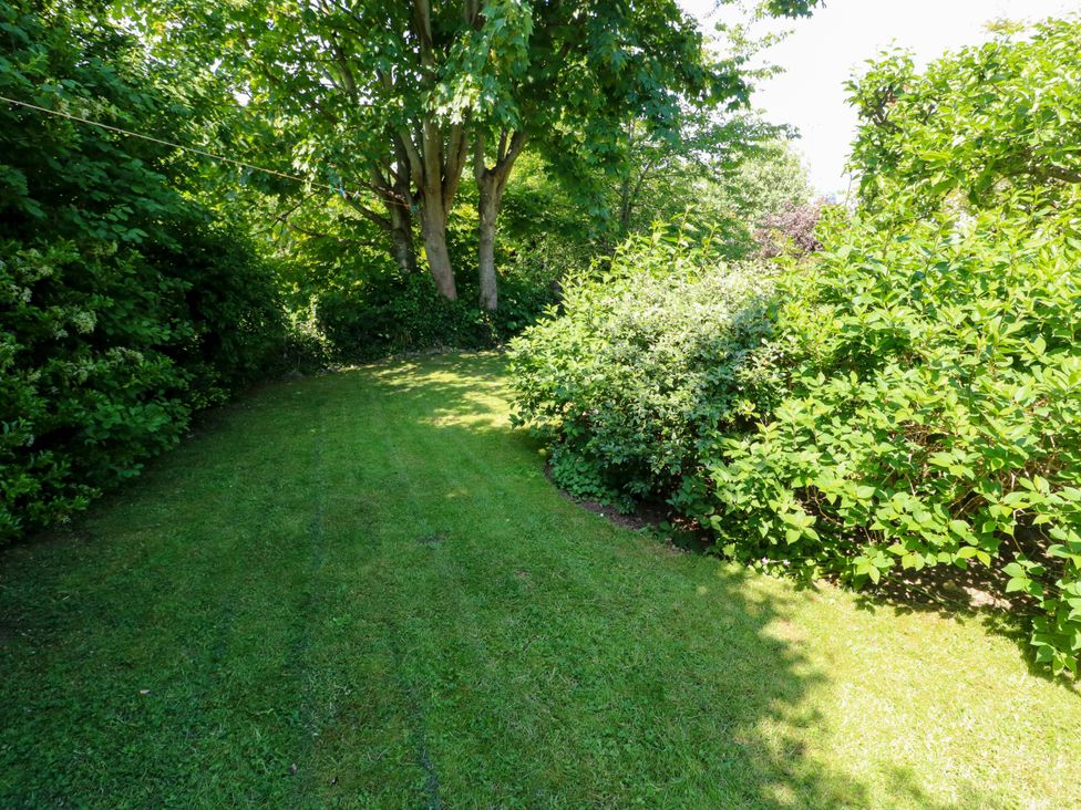 A garden with grass, trees, and bushes at Bryn Pydew in Llandudno Junction