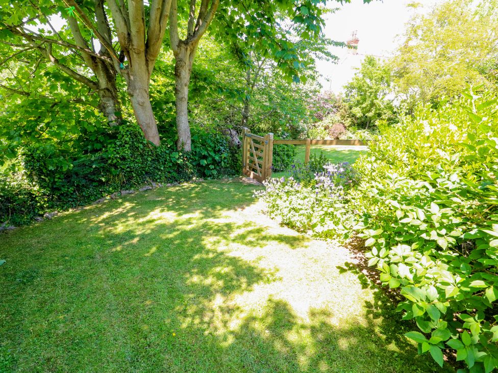 A garden with trees and a path at Bryn Pydew in Llandudno Junction