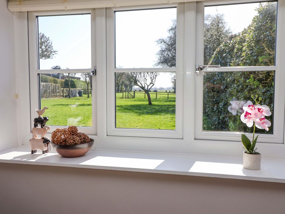 A window with decorative items and a flower pot at Cartwheel Cottage in Yearsley