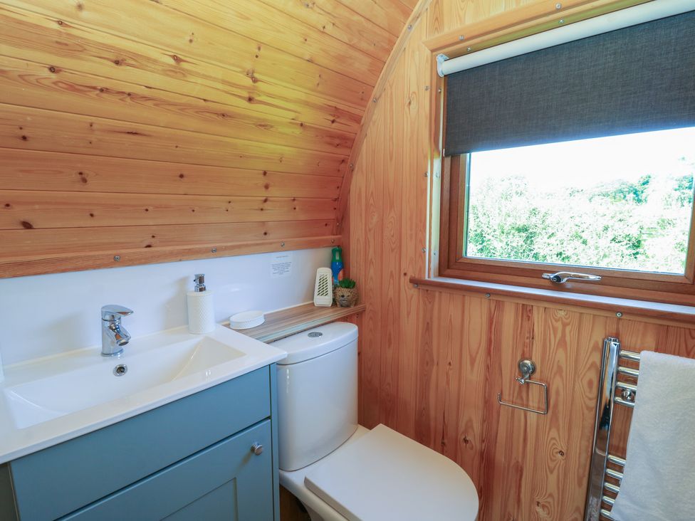 A bathroom with toilet and sink at Bwthyn Bach Brefi