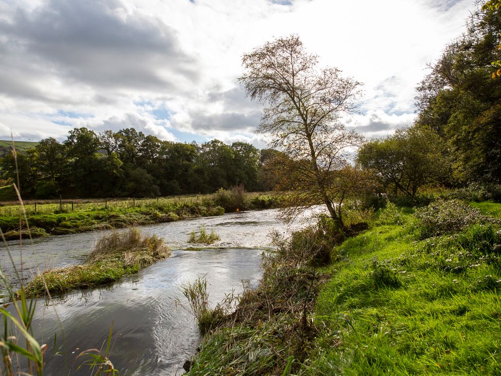 A river with trees and grass at Bwthyn Bach Brefi