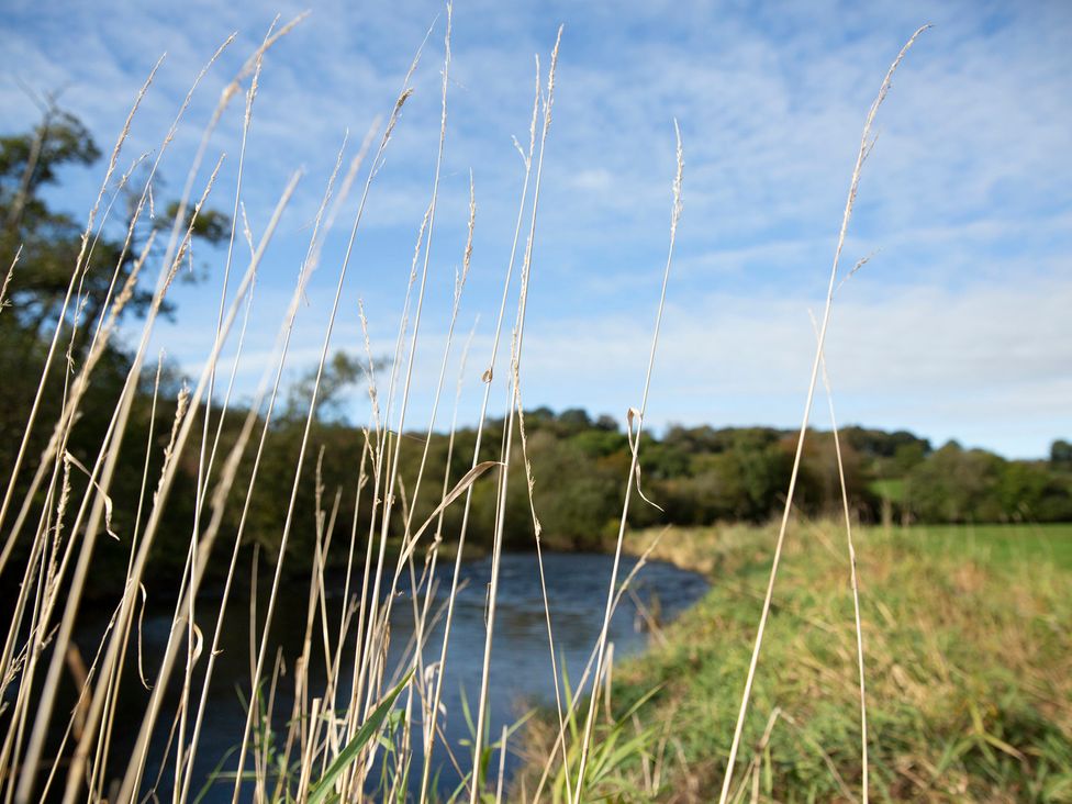 A view of grass by a river with trees and blue sky at Bwthyn Bach Brefi