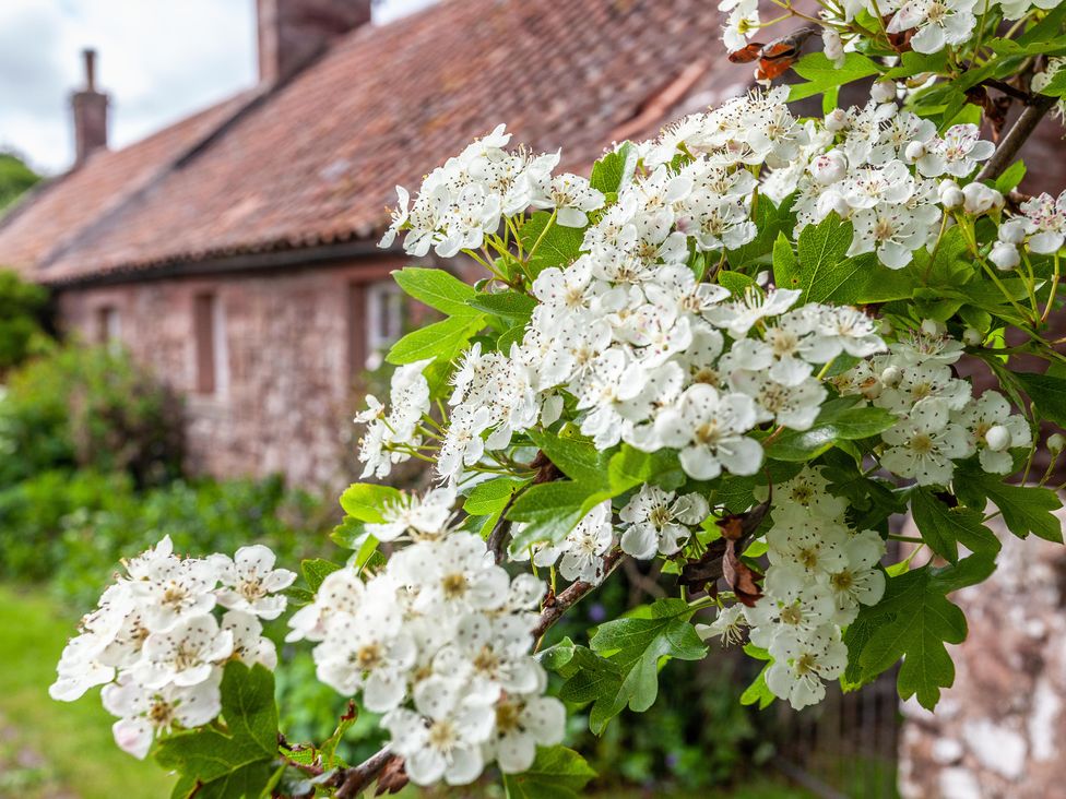 Old Smiddy Cottage - Scottish Lowlands - 1024136 - thumbnail photo 3