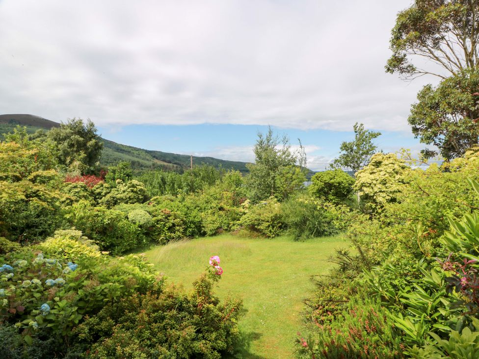 A garden with grass and flowering plants at Knockendoch in New Abbey