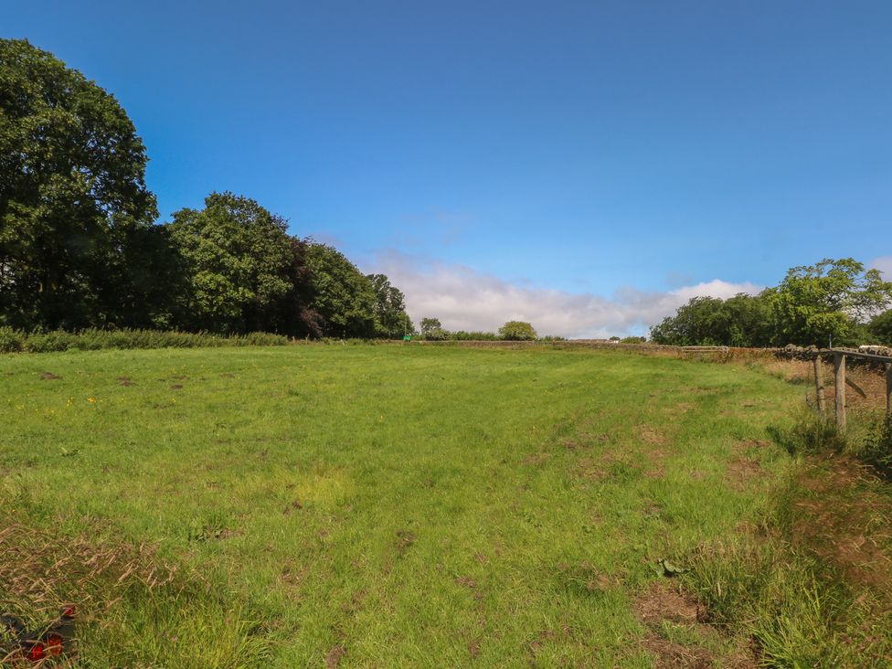 A field with trees and grass at Moldy Warp Barn in Haworth