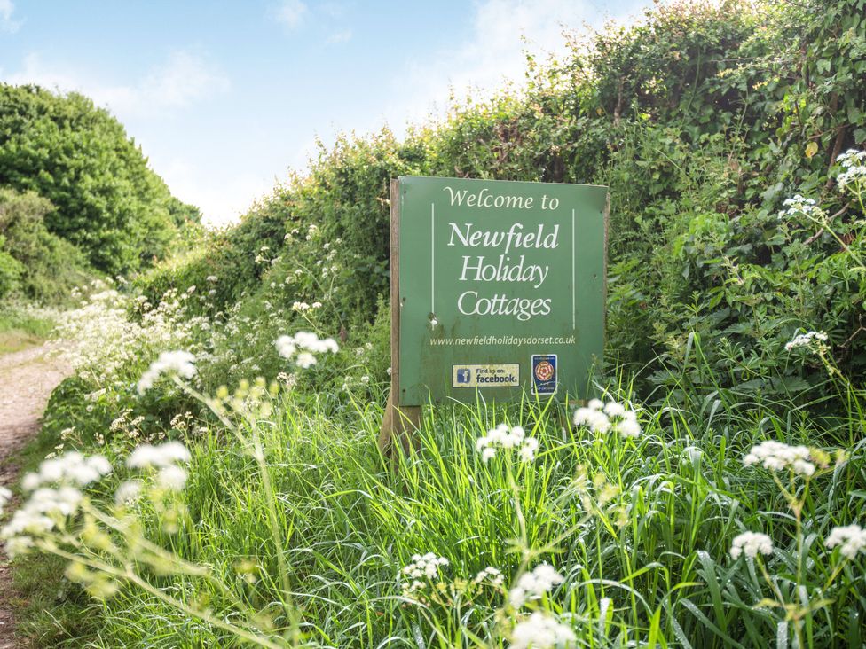 Newfield Farm Cottages - Dorset - 1025183 - thumbnail photo 85