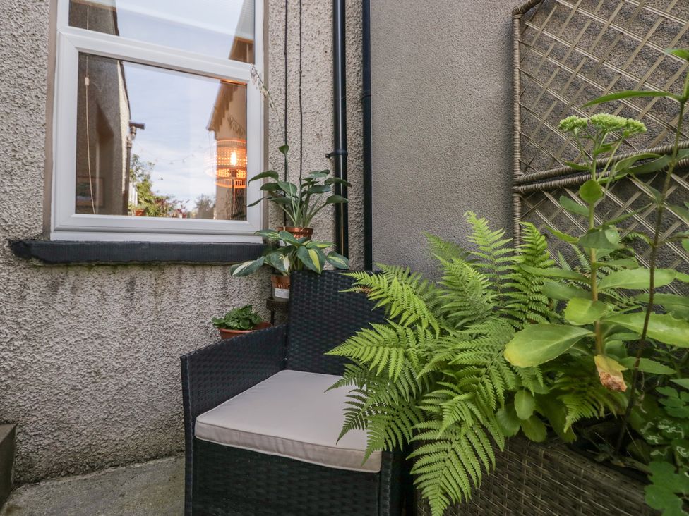 A chair and plants in an outdoor space at Number Thirty-Nine in Ulverston