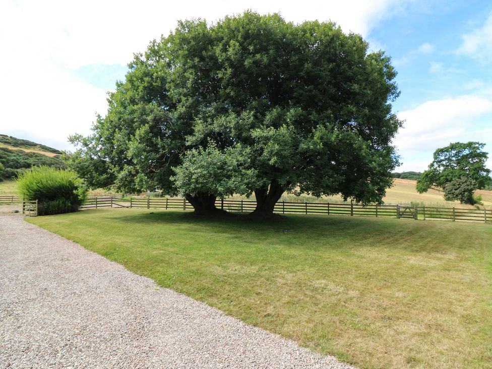 An outdoor area with two large trees and a gravel path at Whitehouse Woodwrae Aberlemno near Forfar