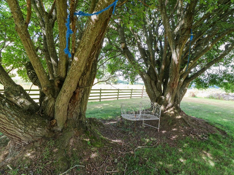 A garden with trees and a bench at Whitehouse Woodwrae Aberlemno near Forfar