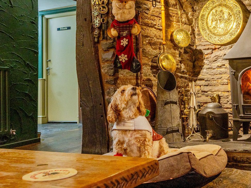 A living room with a dog by the fireplace at The Boars Head Pub in Bishop's Castle