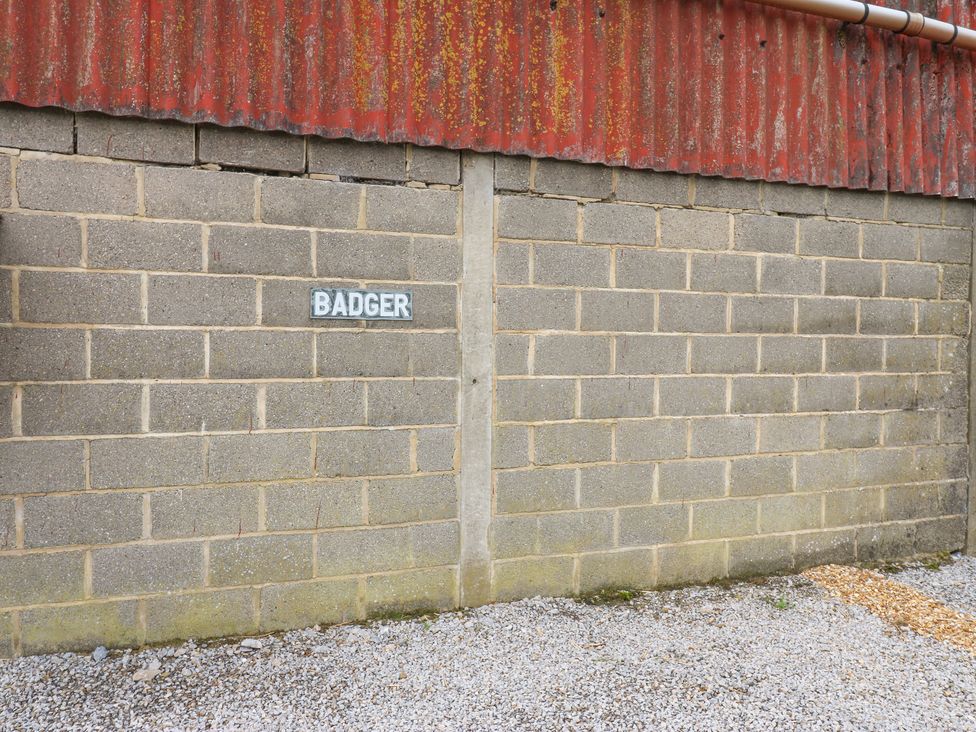 Badgers Sett - Yorkshire Dales - 1027477 - thumbnail photo 32