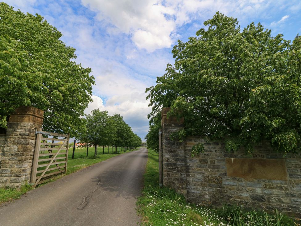 An entrance path with trees on both sides at Badger Cottage in Babcary near Lydford-On-Fosse