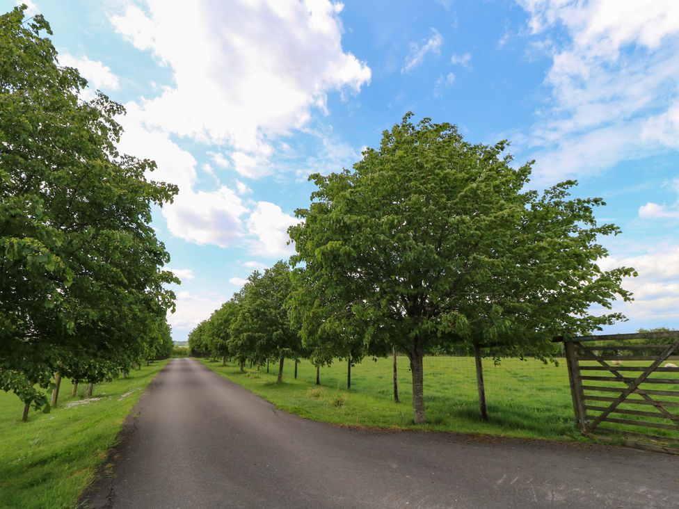 A road lined with trees and a gate at Badger Cottage in Babcary near Lydford-On-Fosse