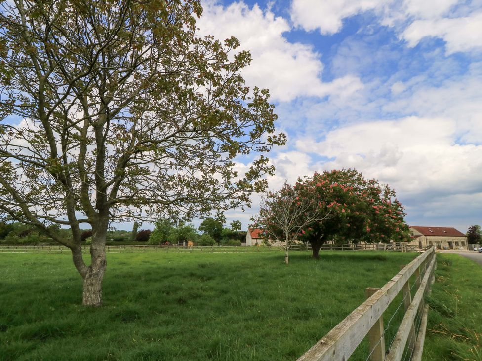 An outdoor scene with trees and a fence at Badger Cottage in Babcary near Lydford-On-Fosse