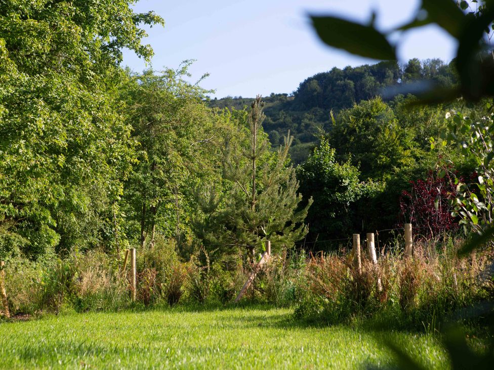 A grassy area with trees and a fence at Newstead Farmhouse, East Chiltington near Lewes, Sussex