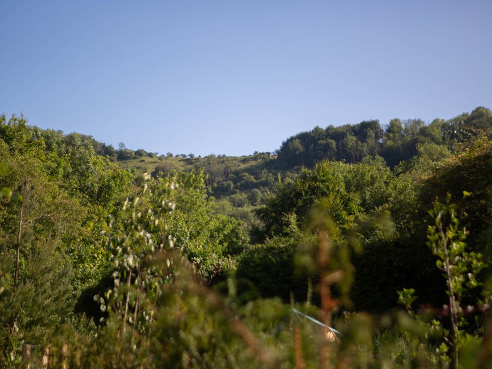 A view of a hillside with trees and clear sky at Newstead Farmhouse East Chiltington near Lewes Sussex